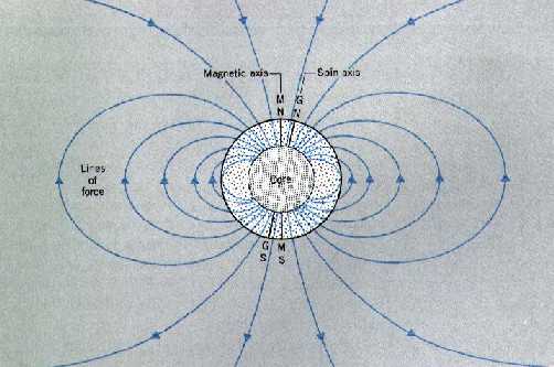 dynamo.jpg (23310 bytes)