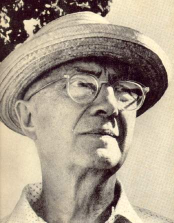 williams.jpg (26141 bytes)